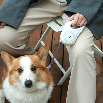 Automatic Dog LED Leash