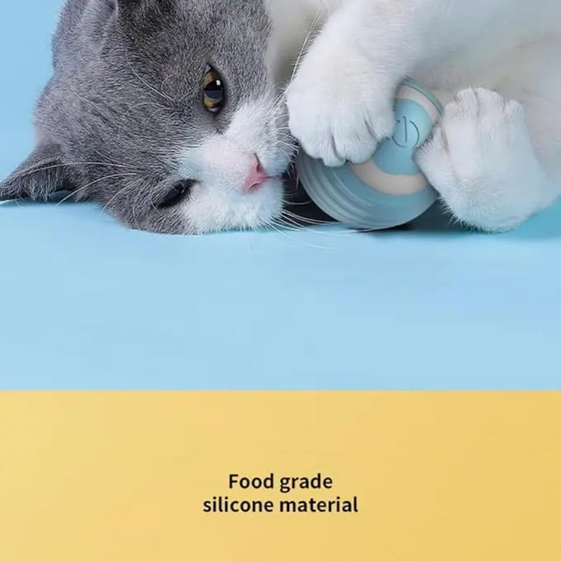 Pet Smart Gravity Rolling Ball - Rechargeable Cat Toy for Endless Fun