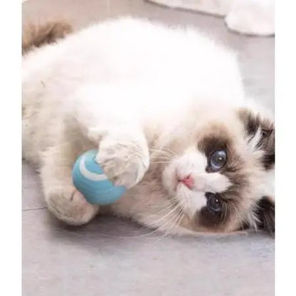 Pet Smart Gravity Rolling Ball - Rechargeable Cat Toy for Endless Fun
