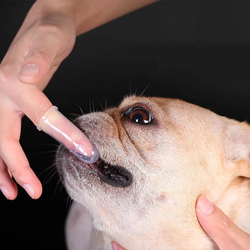 Pet Tooth Brush FingerTip 