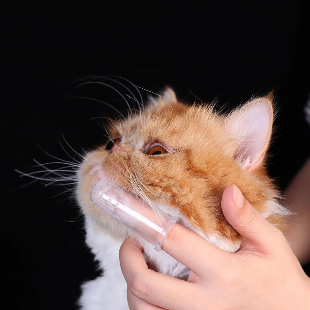 Pet Tooth Brush FingerTip 