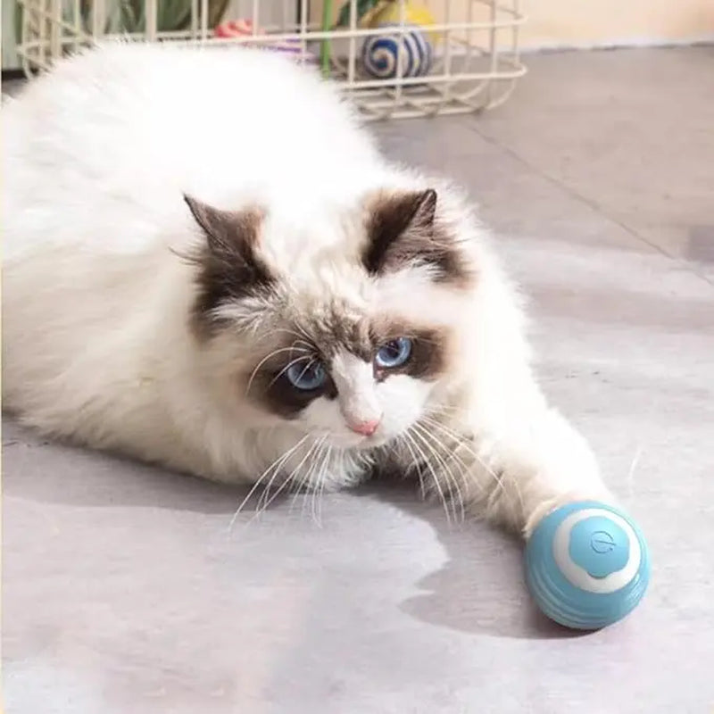 Pet Smart Gravity Rolling Ball - Rechargeable Cat Toy for Endless Fun