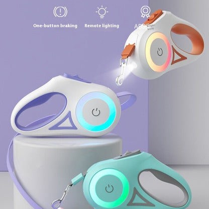Automatic Dog LED Leash