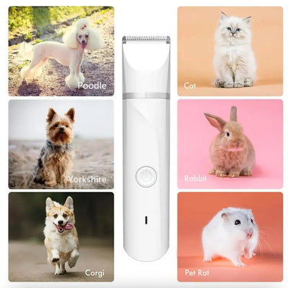 Multi-Use Pet Grooming Kit for Hair & Nail, 1 Set Rechargeable Pet Hair Trimmer with Replaceable Heads, Electric Pet Nail Cutter for Cats & Dogs, Pet Supplies, Dog Nail Clipper, Dog Nail Trimmer, Pet Supplies