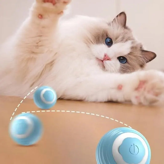 Pet Smart Gravity Rolling Ball - Rechargeable Cat Toy for Endless Fun